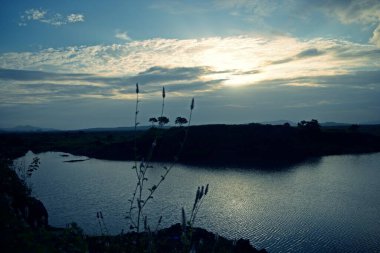beautiful lake middle in the forest