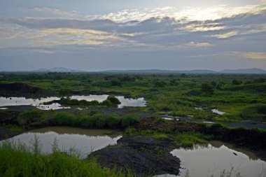 beautiful lake middle in the forest