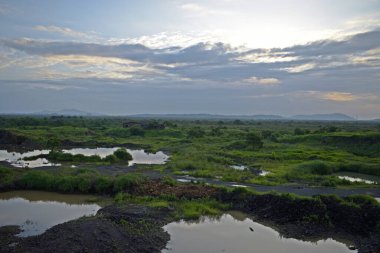 beautiful lake middle in the forest