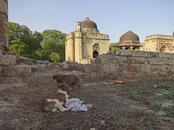 Group Tombs Mosques Jhajjar Haryana India —  Fotos de Stock