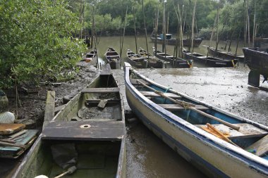 Limanda geleneksel ahşap balıkçı tekneleri, Hindistan