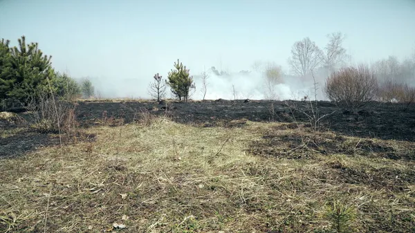 Spálený les a pole po požáru, černé půdě, popelu, dýmu, nebezpečné ponorové počasí — Stock fotografie