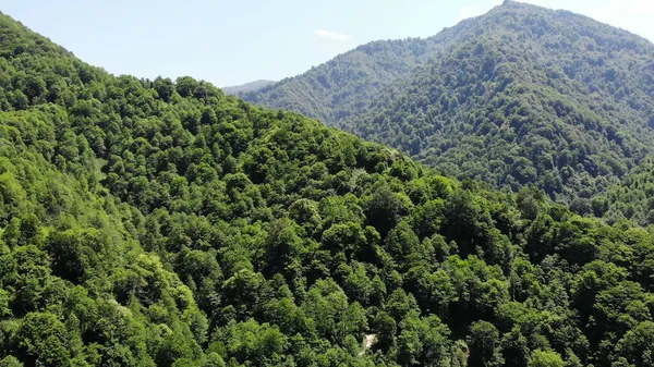 Drone voador sobre montanhas verdes com árvores paisagem, vista superior de cima, tiro aéreo — Fotografia de Stock