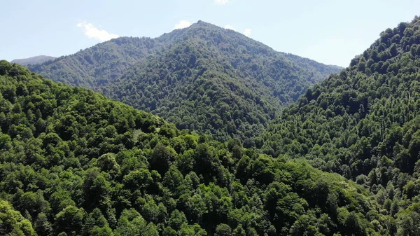 Üstten görünüşlü insansız hava aracı yeşil dağların üzerinde uçuyor ilham verici bir video.