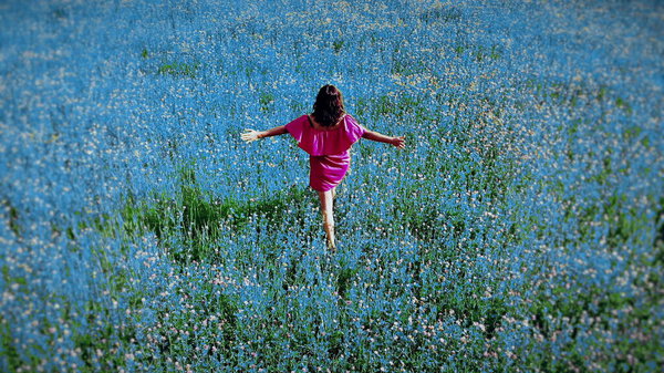 Young fit woman in red dress walking by blue field outdoors, fanstasy enjoy moment, freedom creative happiness concept video