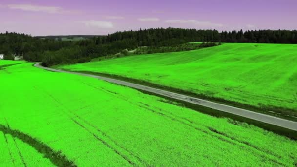 Drón repül át zöld szántóföldi betakarítás növények a vidéken. Gyönyörű kilátás a végtelen zöld — Stock videók