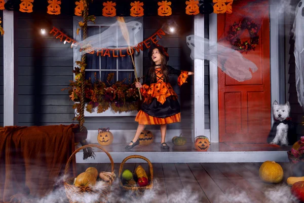 Rolig Flicka Barn Halloween Orange Kostym Häxa Och Svart Hatt Stockbild