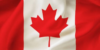 Kanada bayrağının yakın plan çizimi