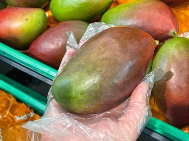 Süpermarkette olgun mango seçen bir kadın. Kapatın. Yüksek kalite fotoğraf