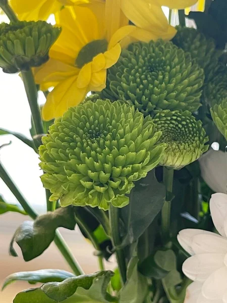 Déconcentré d'herbe et de fleurs jaunes, adapté comme pour le fond — Photo