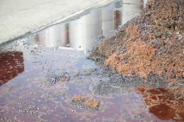 Üzüm hasadının ve şarabın sonbahar dönemi unutulmaz manzaralar sunar üzüm hasadı ve şarap işleme yerleri