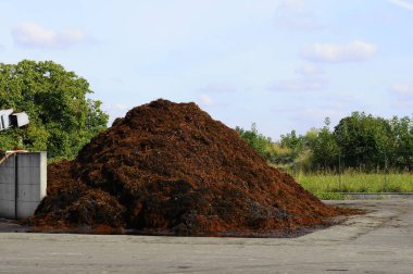 Üzüm hasadının ve şarabın sonbahar dönemi unutulmaz manzaralar sunar üzüm hasadı ve şarap işleme yerleri