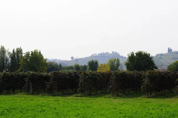 Die Herbstzeit Der Weinlese Und Des Weins Bietet Unvergessliche Szenenorte — Stockfoto