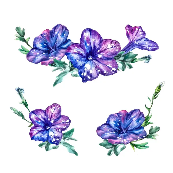 Samenstelling paarse petunia bloemen, knoppen, bladeren. Aquarel bloemen achtergrond — Stockfoto