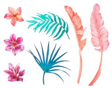 Pembe ve mercan palmiye yapraklarından oluşan suluboya seti, mavi tropik yapraklar ve amber çiçeği ve tesisat çiçekleri.