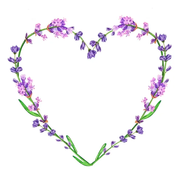 Hart van aquarel lavendel bloemen geïsoleerd op witte achtergrond — Stockfoto