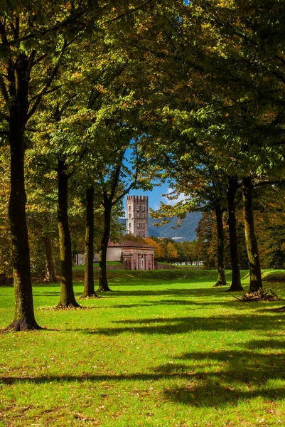 Paredes Del Parque Público Lucca Con Puerta Santa María Campanario — Foto de Stock