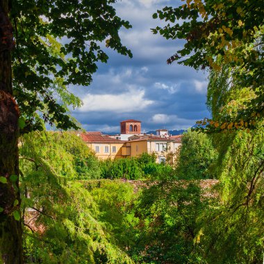 Lucca 'da doğa ve çevre. Yeşil ve sarı yapraklı ağaç dalları arasından eski binaların tarihi görüntüsü