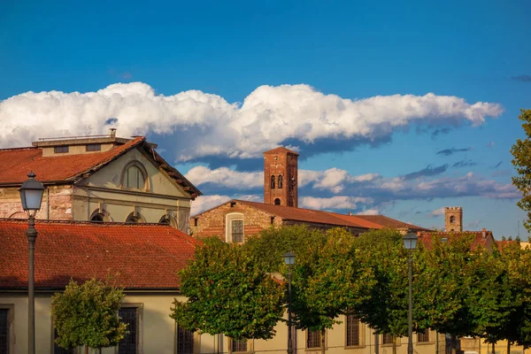 Lucca Urocze Historyczne Centrum Średniowiecznymi Wieżami — Zdjęcie stockowe