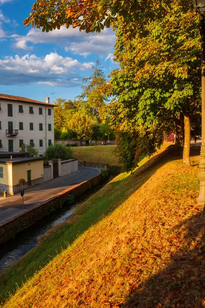 Las Murallas Lucca Parque Público Con Hojas Castaño Indias — Foto de Stock