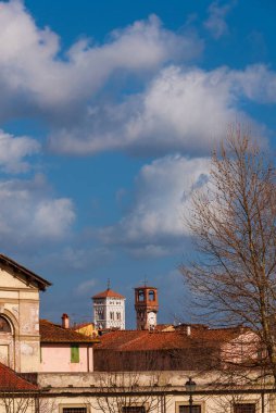 Lucca 'da kış. Ortaçağ kuleleri ve çıplak ağaç dallarıyla eski şehir manzarası