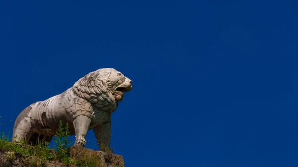 比萨之狮 一座坐落在城墙顶上的古老的特鲁斯卡人雕像 带有蓝天和复制空间 — 图库照片