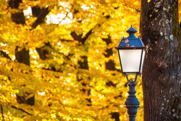 Autumn and foliage in the park. Vintage street lamp among autumnal leaves