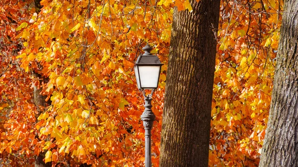 Autumn Foliage Park Vintage Street Lamp Autumnal Leaves — ストック写真