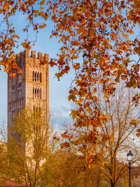 Lucca 'da sonbahar ve yeşillik. St. Fredianus Ortaçağ Çan Kulesi Sonbahar kırmızı, turuncu ve kahverengi yaprakları arasında