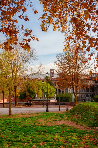 卢卡的秋天和树叶 带秋叶的城墙公园的浪漫景象 — 图库照片