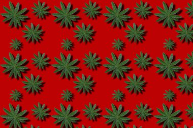 Lupin flower leaves with dew drops for decorating gifts and decoration in a design on a red background. Photo of a seamless pattern