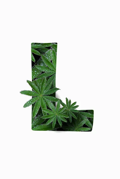The English letter of the alphabet L, isolated on a white background. Stylized with a collage of a photo of a lupin flower leaf. Concept: graphic design, decorated font. — Fotografia de Stock