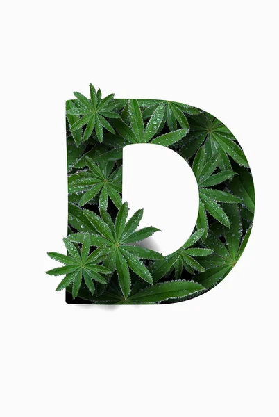 The English letter of the alphabet D, isolated on a white background. Stylized with a collage of a photo of a lupin flower leaf. Concept: graphic design, decorated font. — Stock fotografie