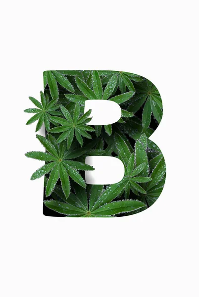 The English letter of the alphabet B, isolated on a white background. Stylized with a collage of a photo of a lupin flower leaf. Concept: graphic design, decorated font. — Foto Stock