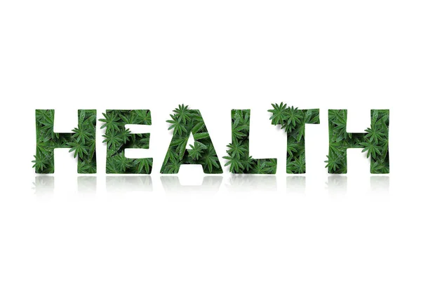 Англійське слово - це здоров'я, стилізоване як колаж фотографій листя волинки. Слово з дзеркальним відображенням було виділене на білому тлі. Концепція: день здоров'я, графічний дизайн.. — стокове фото