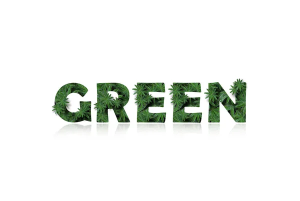 Het Engelse woord is groen, gestileerd als een collage van foto 's van lupine bladeren. Een woord met een spiegelbeeld gemarkeerd op een witte achtergrond. Concept: gezondheidsdag, grafisch ontwerp.. — Stockfoto