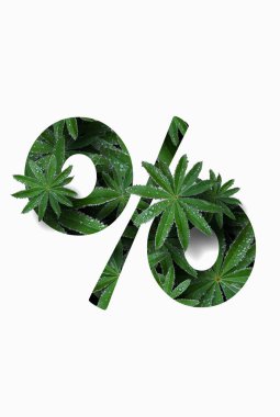 Matematiksel sembol yüzde beyaz arkaplan üzerinde izole.