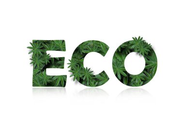 İngilizcesi eko, lupin yapraklarının fotoğraflarının kolajı gibi stilize edilmiş..