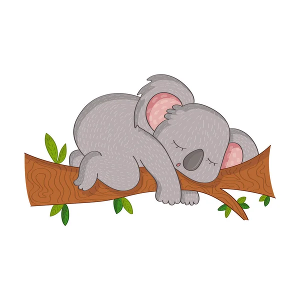 Funny Koalas Sleeping Tree Vector Illustration Cute Animal Cute Little — Stock Vector