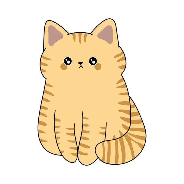 Ευρωπαϊκή Εικόνα Γάτας Βραχέων Αποστάσεων Εικονογράφηση Διάνυσμα Ενός Χαριτωμένου Γατάκι — Διανυσματικό Αρχείο