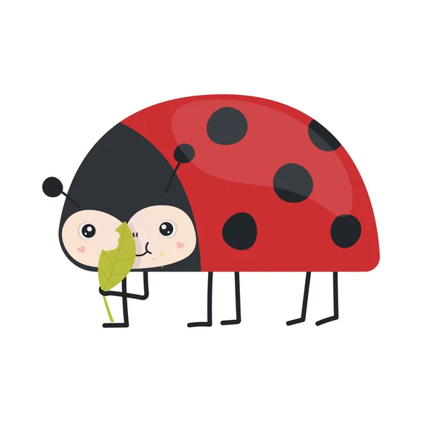 Cute Clipart Ladybug Ilustração Estilo Dos Desenhos Animados Desenhos Animados — Vetor de Stock