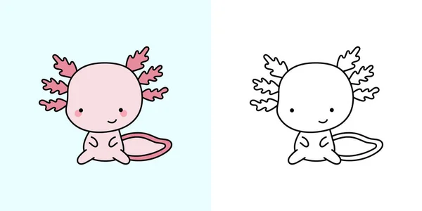 设置Clipart Axolotl彩色页和彩色插图 剪贴艺术Kawaii Axolotl Kawaii动物的彩色图片说明 婴儿淋浴器的印刷本 — 图库矢量图片