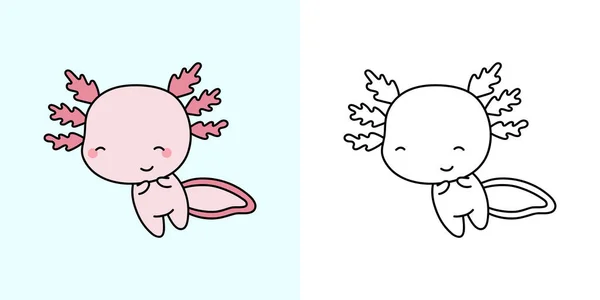 Axolotl Clipart Multicred和Black White 美丽的剪贴艺术轴心国 用于制衣 婴儿淋浴器 彩色纸的卡瓦动物的病媒图解 — 图库矢量图片