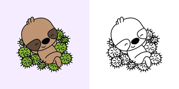 设置Clipart Sloth Multicred和Black White Kawaii Clip Art Sloth 用于制衣 婴儿淋浴器 — 图库矢量图片