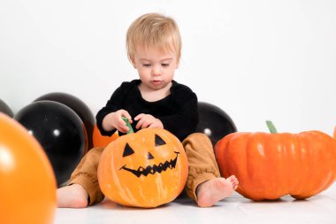 Beyaz arka planda balkabaklarına dokunan, beyaz balonların arasında oturan beyaz, şirin, beyaz bir bebek evde Cadılar Bayramı 'nı kutluyor. Tatil fikri olan bir çocuk. Metin için alanı kopyala.