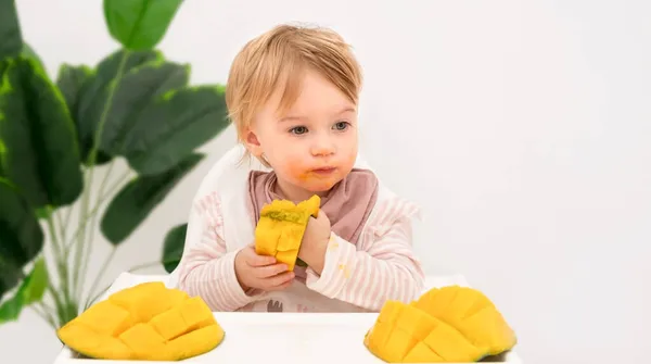 Beyaz, şirin, sarışın kız bebek, bebek, bebek, çocuk taze egzotik, tropikal meyve mangosu yer, yeşil arka planda beyaz bir sandalyede, çocuk öğle yemeği yer, yemek yer..