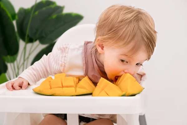 Sevimli beyaz kız bebek, bebek, bebek, bebek, çocuk taze egzotik, tropikal meyve, ısırık mangosu, yeşil arka planda beyaz koltukta, kapalı alanda yemek yer. Çocuk öğle yemeği yer, yemek yer, sağlıklı yemek yer..