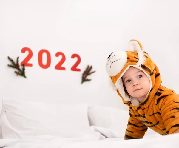 Gülümseyen beyaz bebek, bebek, çocuk, beyaz yatakta kaplan kostümü giyen çocuk, 2022 numaralı Çin takviminin arka planındaki kameraya bakın. Hoş karşılama kartı. Boşluğu kopyala..