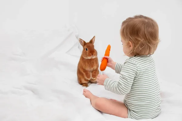아기 토끼, 토끼, 예쁜 토끼에게 먹이를 주는 행복 한 금발의 여자 아기, 침대에 당근 과 함께 흰색 현대 간헐천.아이, 아기, 동물 관계, 친구 복사 공간 — 스톡 사진