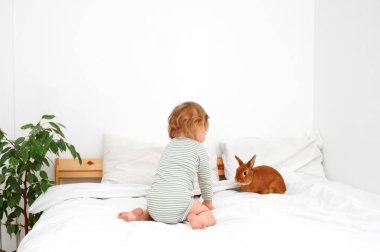 Küçük tatlı bir kız bebek, beyaz battaniye, yatak, gözlem, evcil hayvanına, tavşana bakan bebek. Beyaz modern iç mekanda tavşanla oynayan çocuk. Çocuk ve hayvan ilişkisi. Boşluğu kopyala